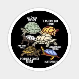 Turtle Breeds Galapagos Tortoise Species Turtle Magnet